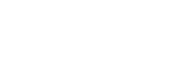 Logo Iren