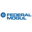 inkout_FEDERALMOGUL_logo inkout FEDERALMOGUL logo
