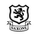 inkout_SAXONE_logo inkout SAXONE logo